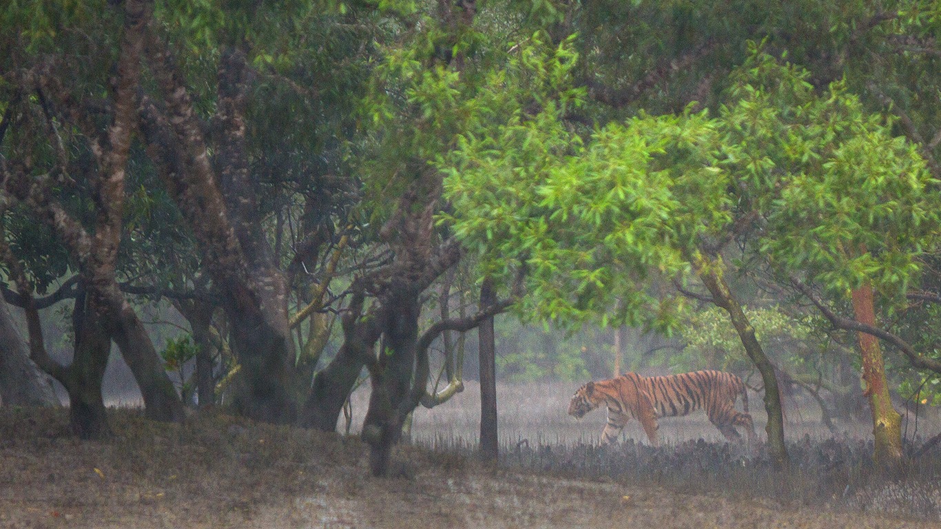 HOW TO REACH SUNDARBAN