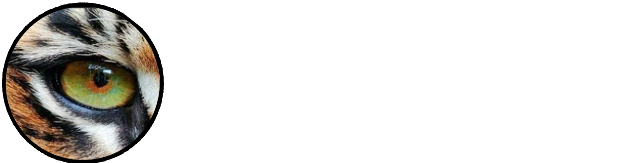 Sundarban